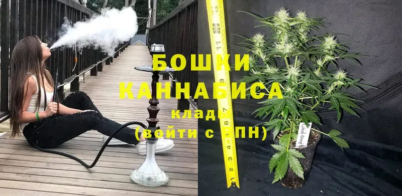 Бошки марихуана SATIVA & INDICA  это формула  Отрадная 